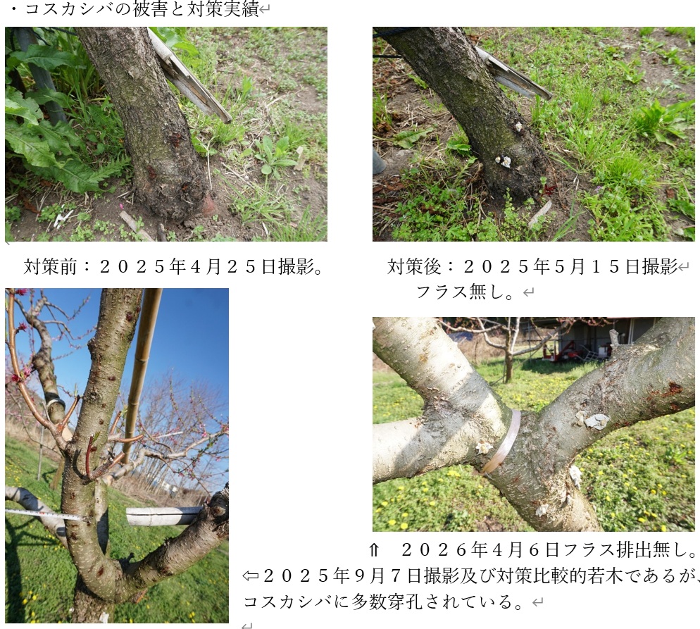 3.果樹を枯らす負の連鎖の流れ 4